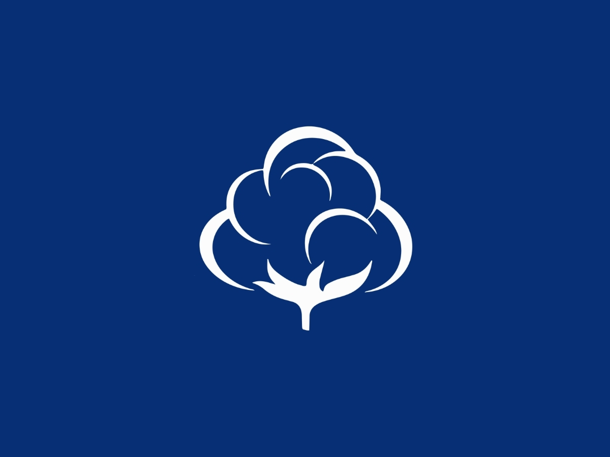 Branding web - Cottono (4)