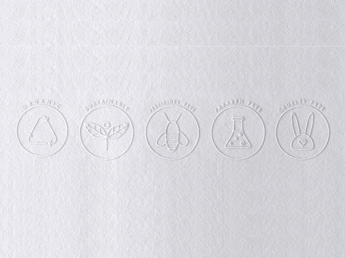 Branding web - Tulii